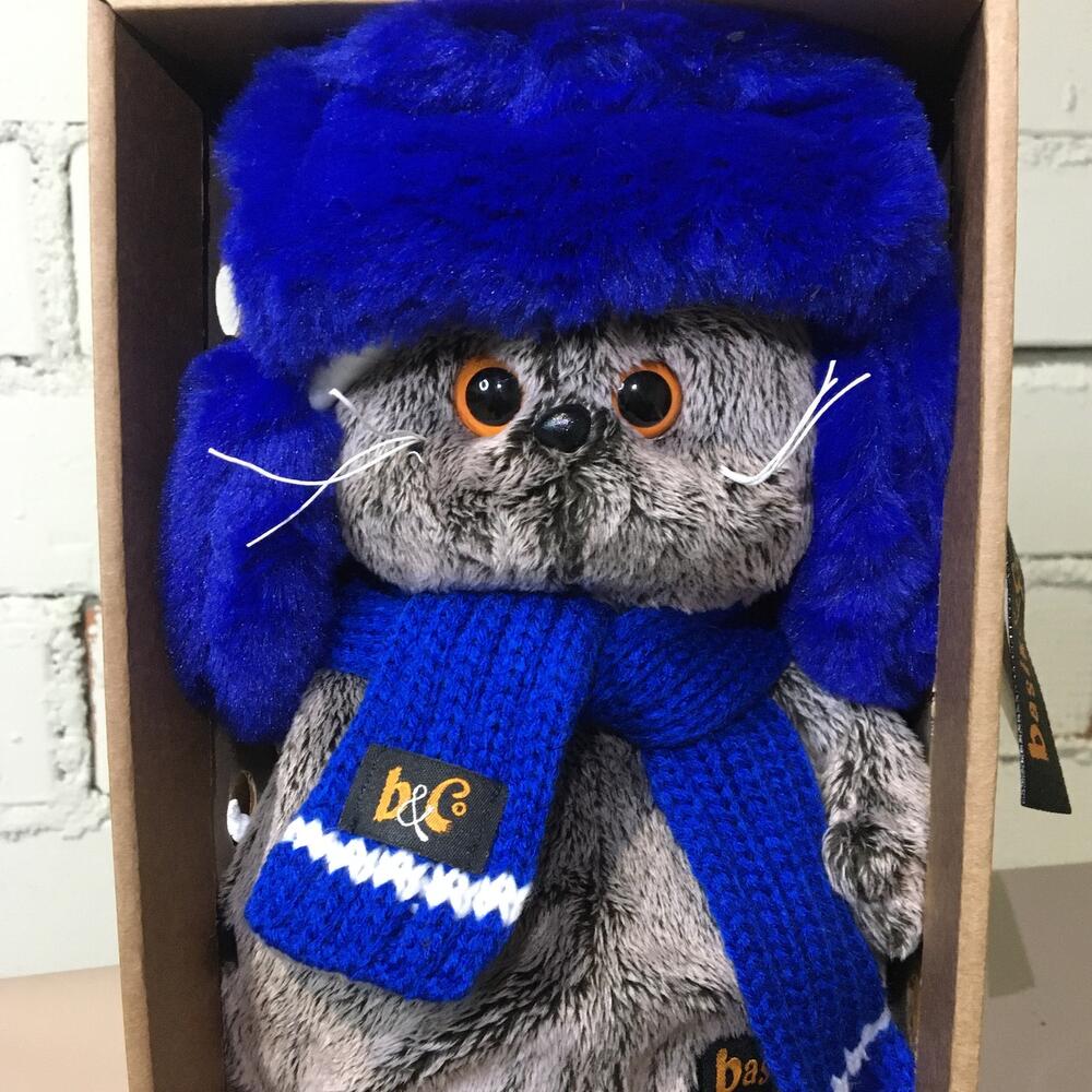 Кот Басик в ушанке