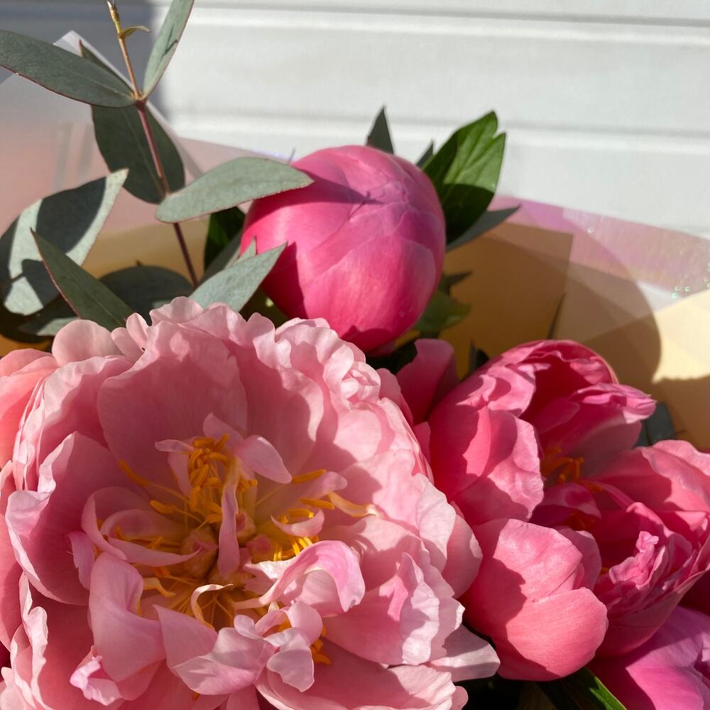 Пионовый фэшн 🌸