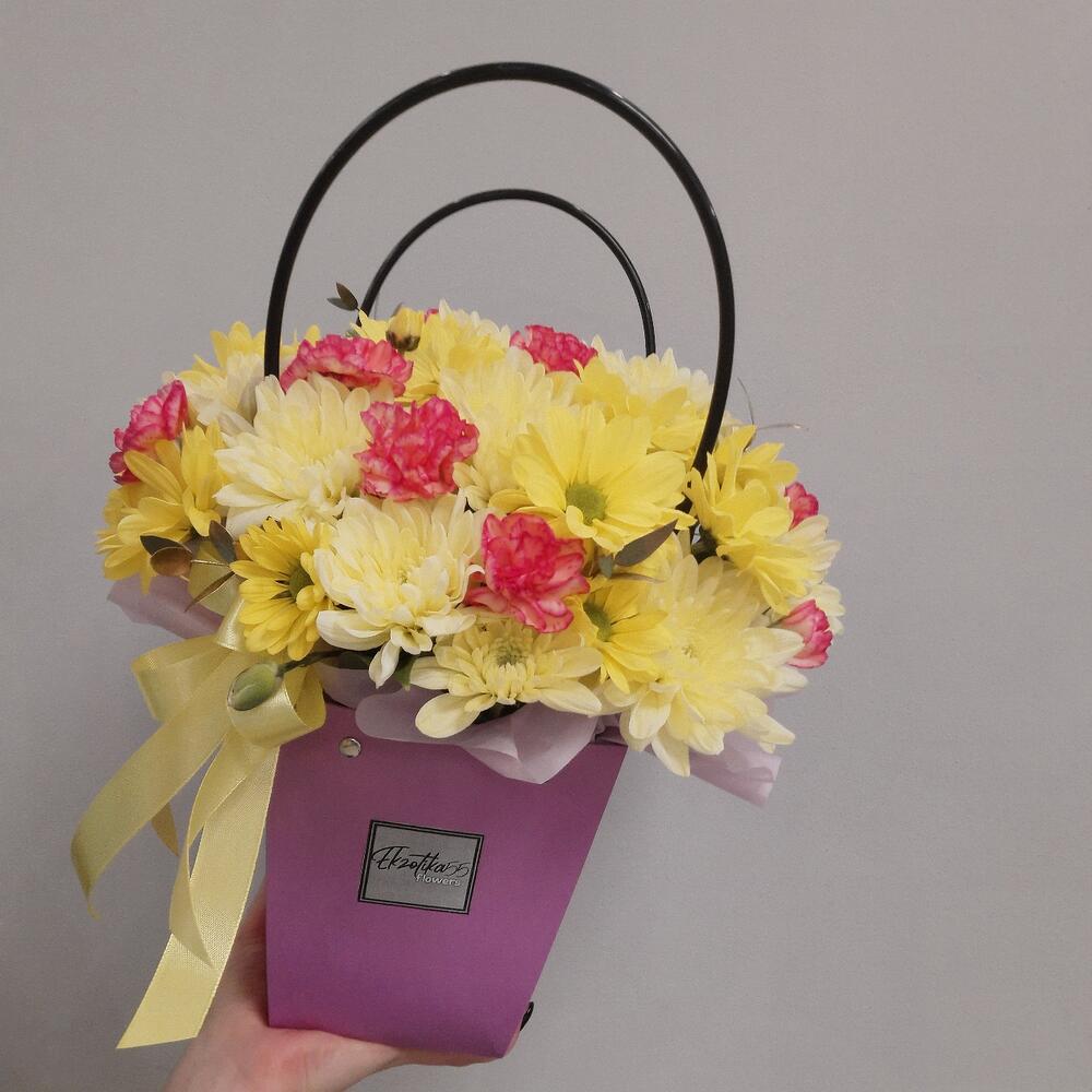 Play with chrysanthemum