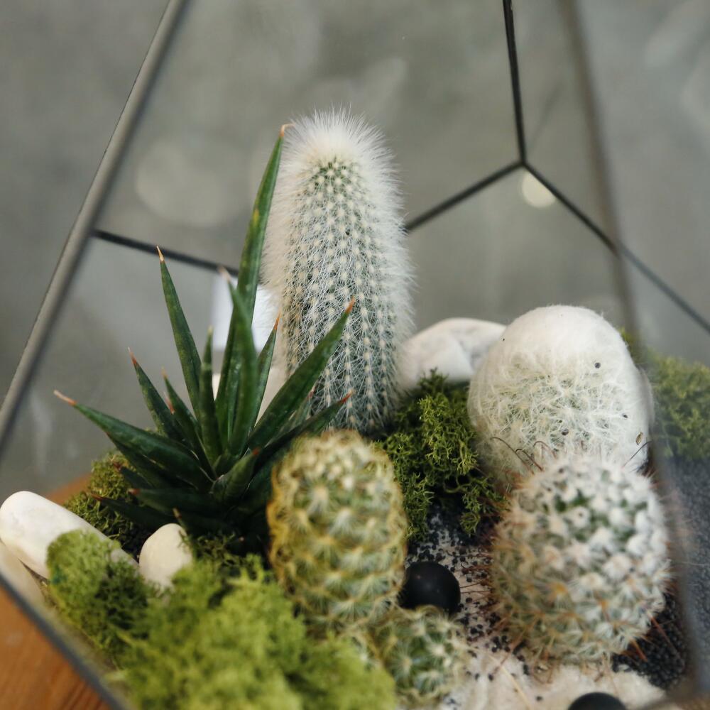 Micro world