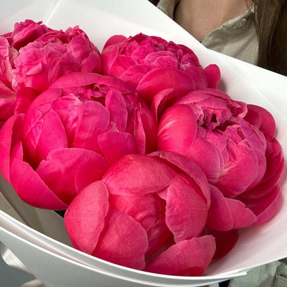 ❣️Букет коралловых пионов