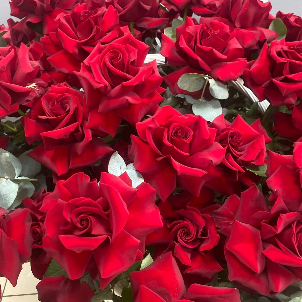 Роскошь ♥️