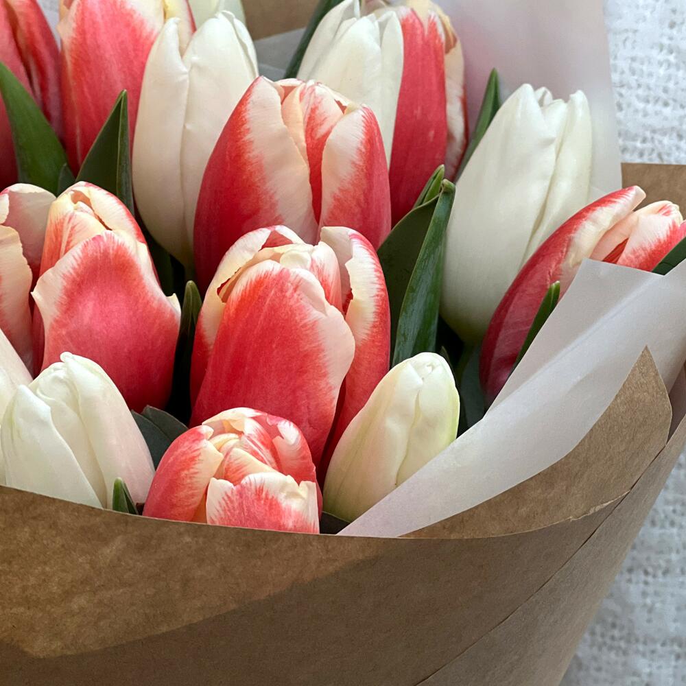 Holland Tulip Bouquet