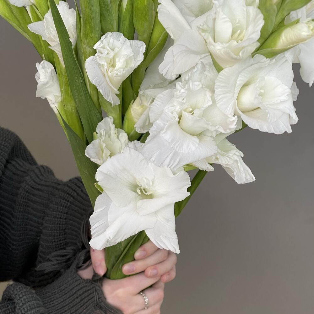 HIGHLY WHITE эффектный букет из 9 высоких гладиолусов