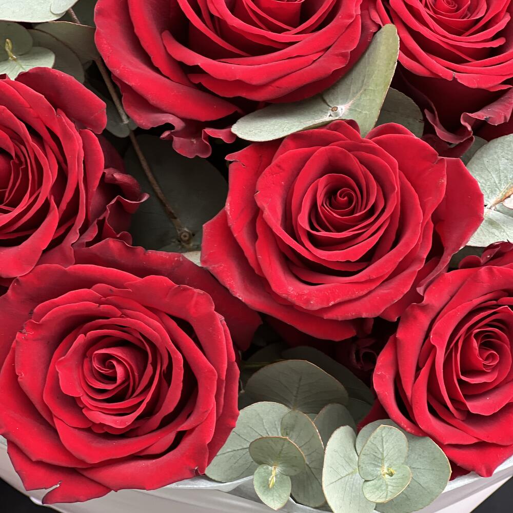 11 red roses with eucalyptus