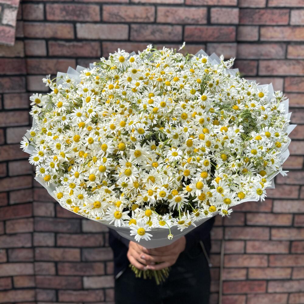 Ромашки