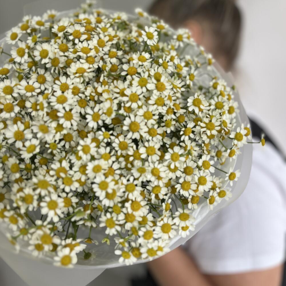 «Солнечные поля» 🌼