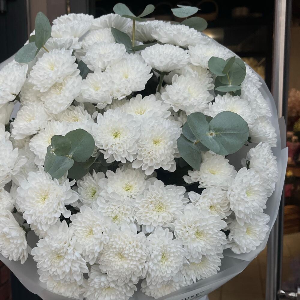 Цветы, как комплимент — неожиданные и приятные