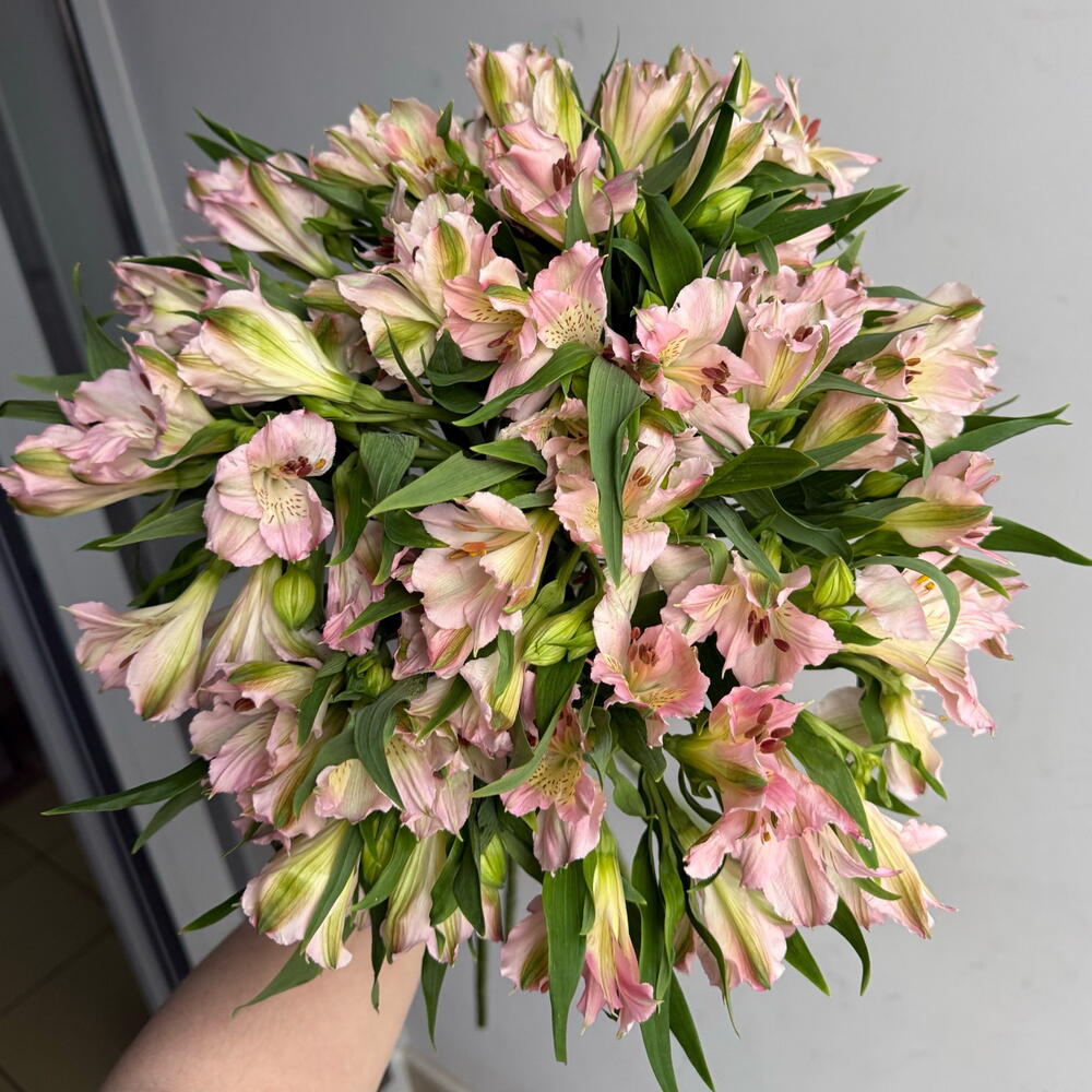 Букет розовых альстромерий 15шт