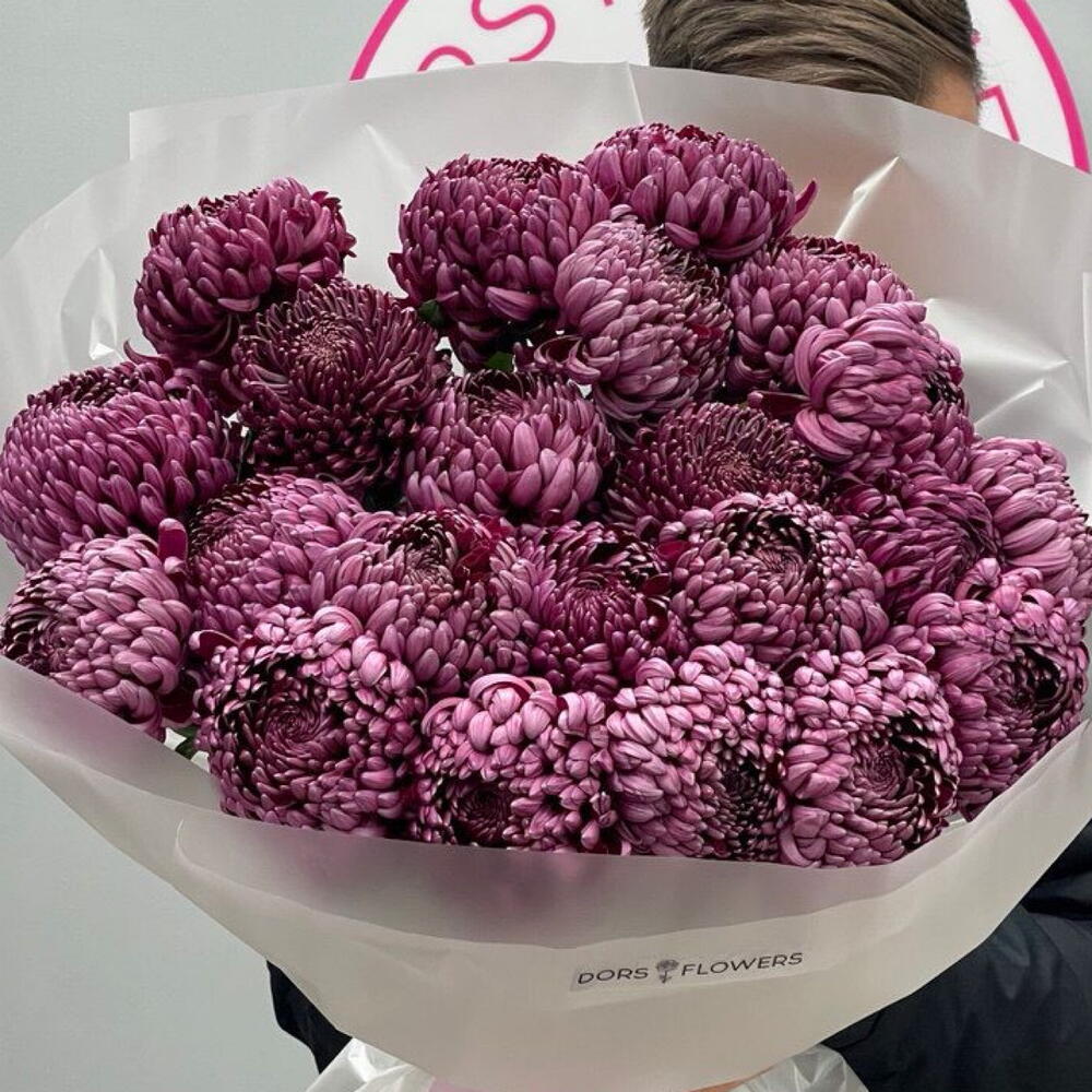Трендовые хризантемы 🌸