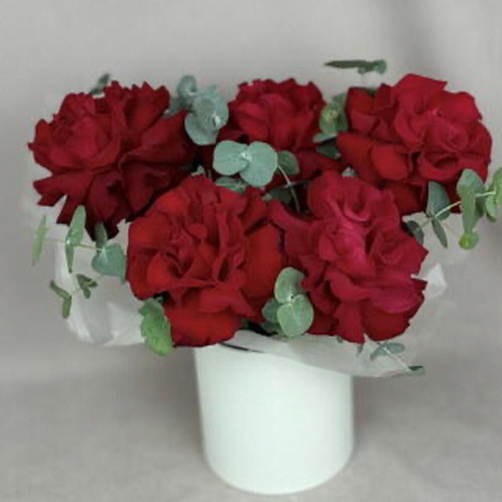 5 французских красных роз в шляпной коробке🌹