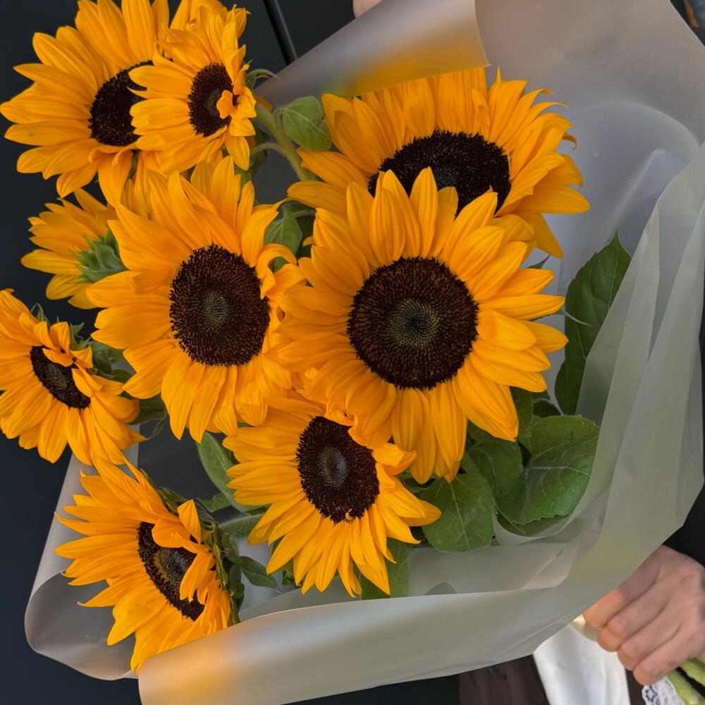 Sunflower 🌻