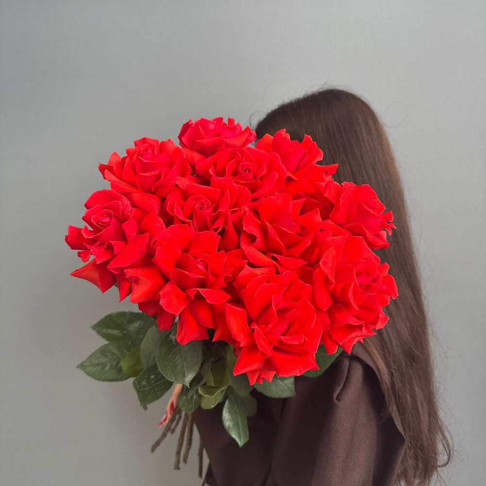 Роза Французская Нина
