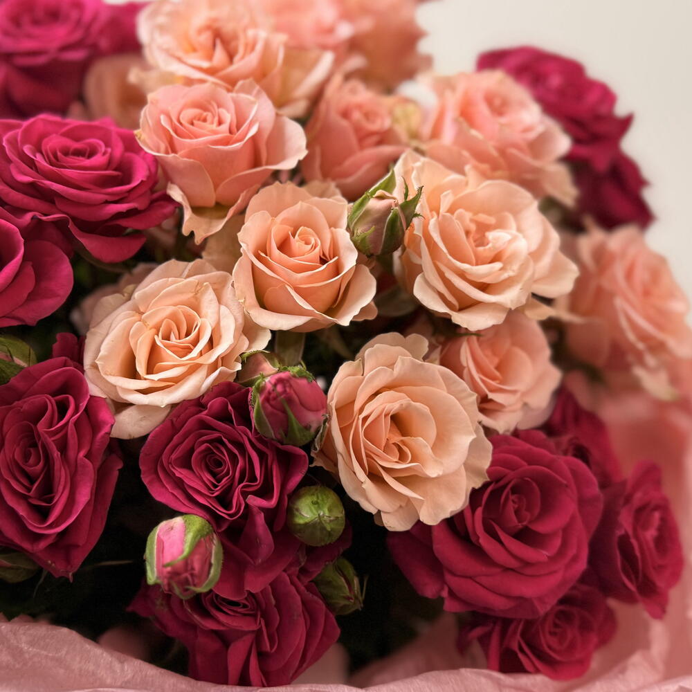 Cherry Pie | Duo Pink Spray Roses