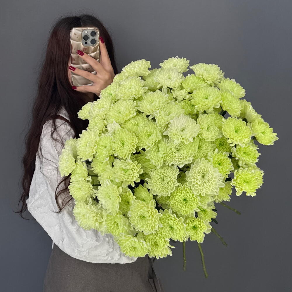 Охапка💚 Фисташковая Хризантема Алтай 15 шт