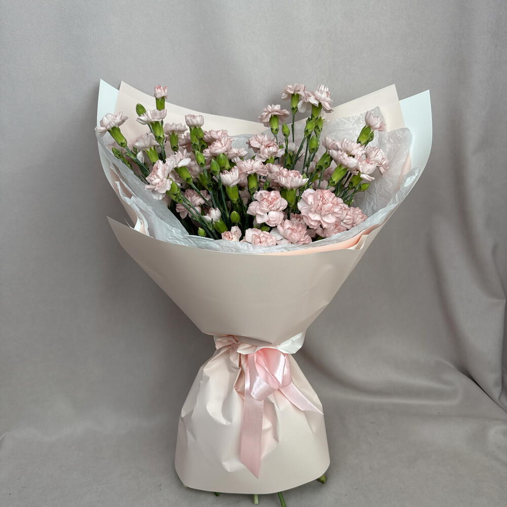 Розовые кустовые диантусы🥰🌸