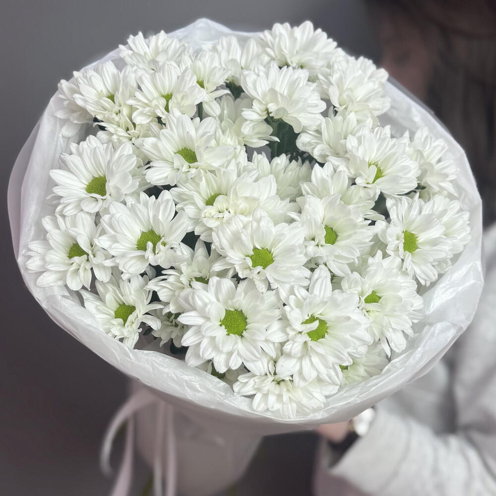 Монобукет из 5 ромашковых хризантем (арт.4265)