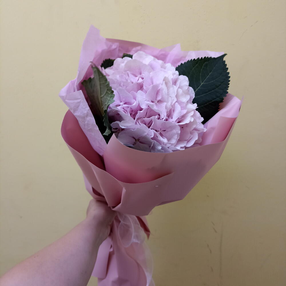 Розовая зефирка