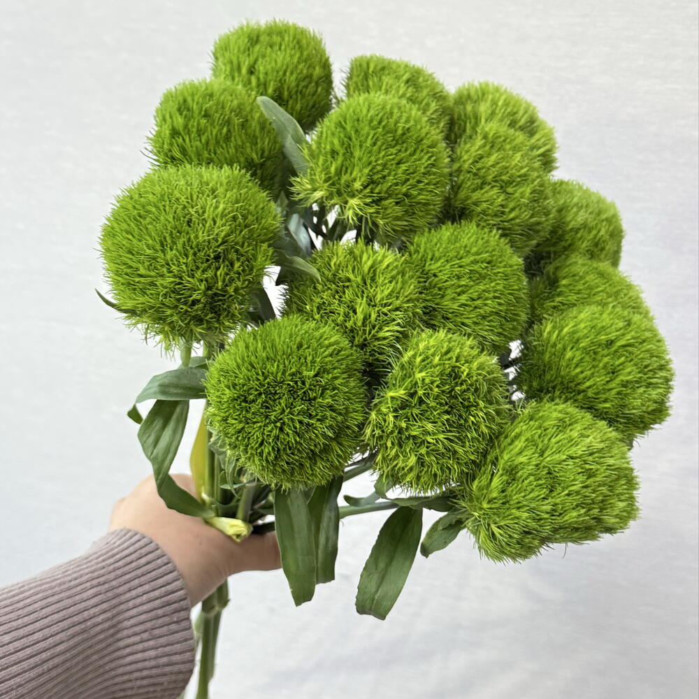 Green Trick