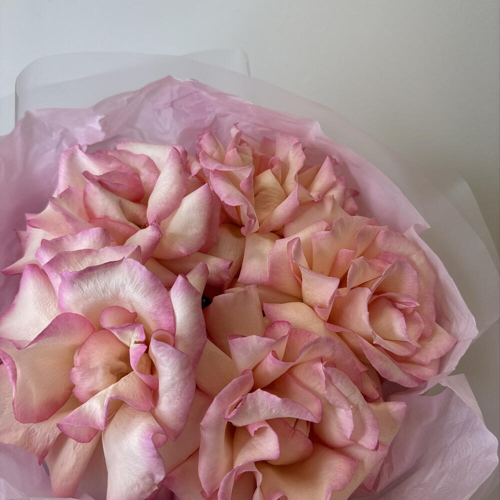 розовое облако 🌺bloom room