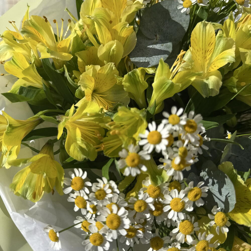 Букет лимонный 🍋 «яркий лимонад» в составе альстромерия, эвкалипт и ромашка