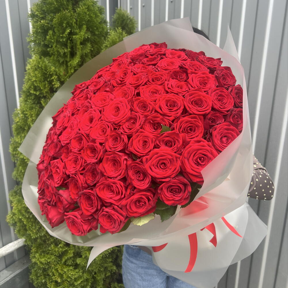 101 Роза 🌹