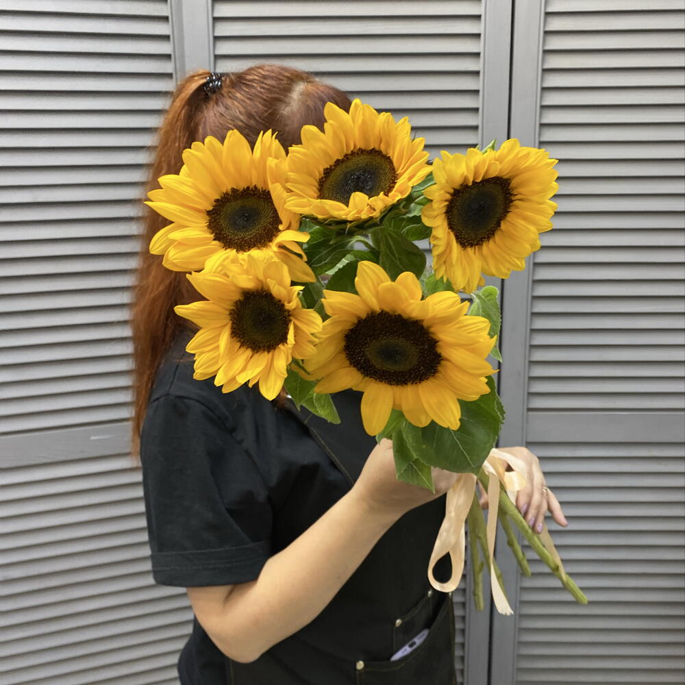 Подсолнухи 🌻