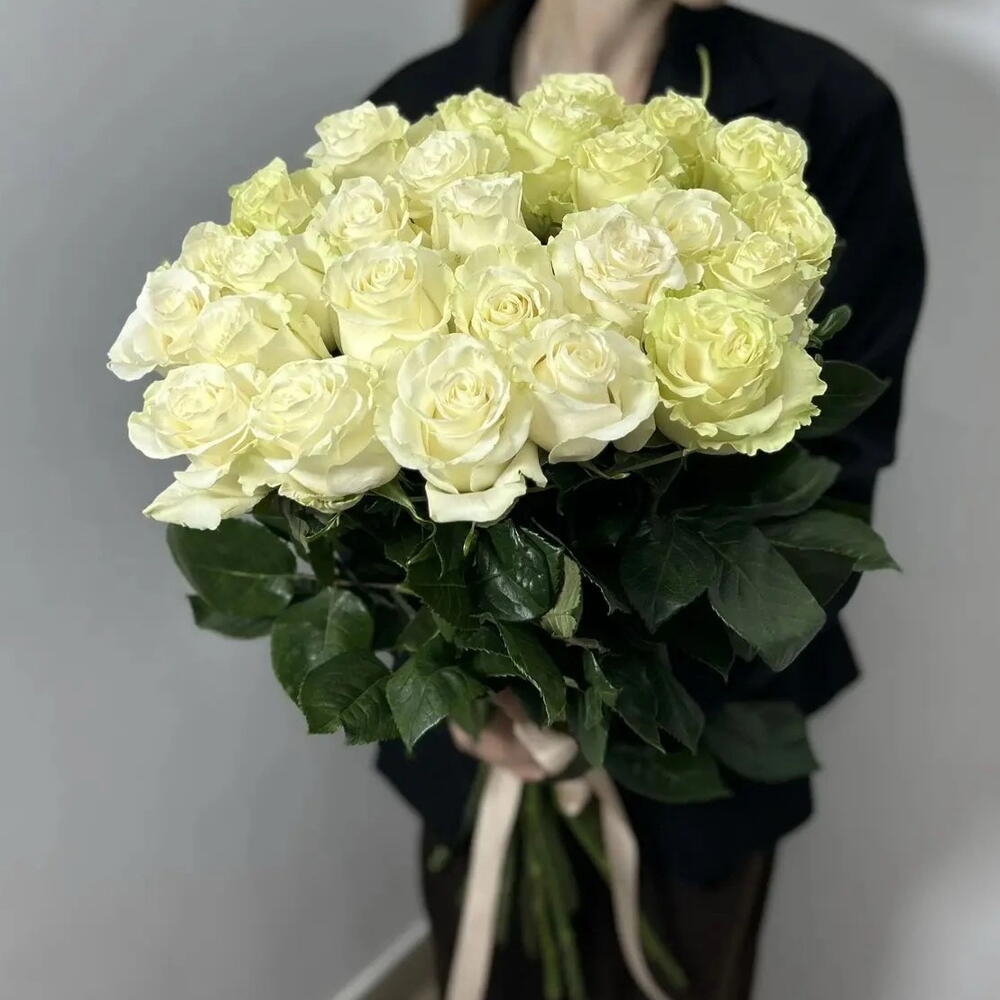 25 белых Эквадорских роз