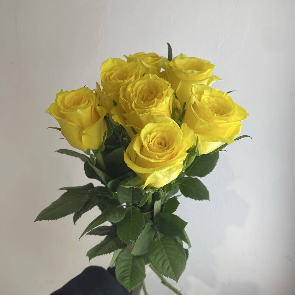 Розы жёлтые 💛 7