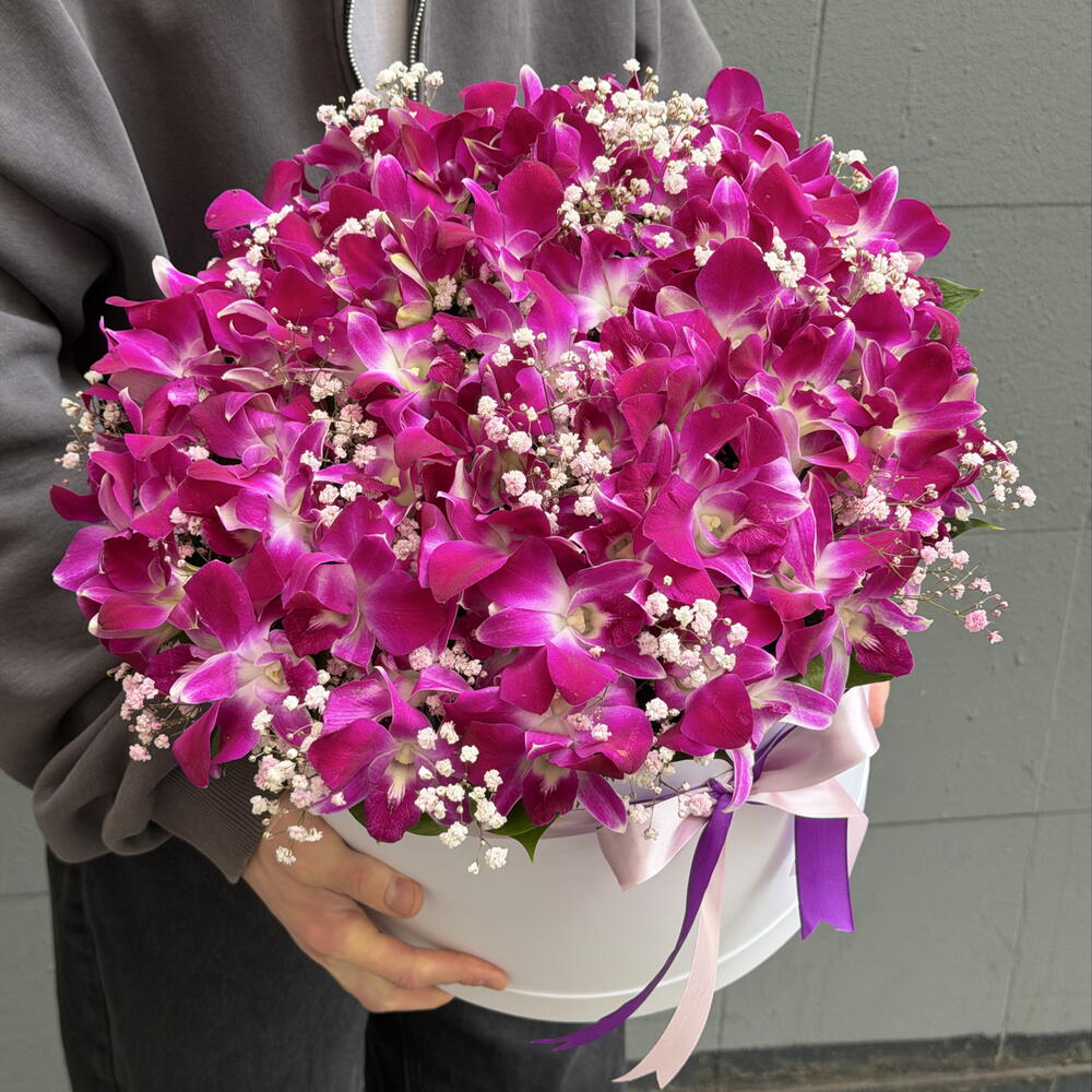 Фиалетовый дендробиум с гипсофилой в большой коробке 💐