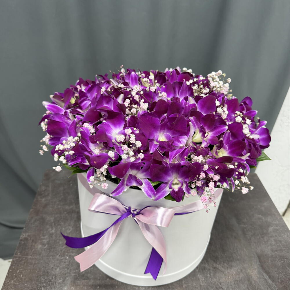 Фиалетовый дендробиум с гипсофилой в большой коробке 💐