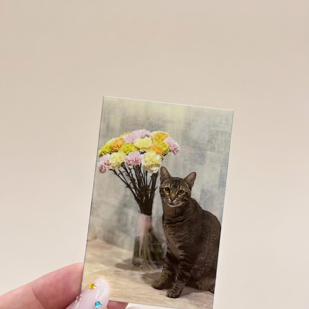 Фотооткрытка