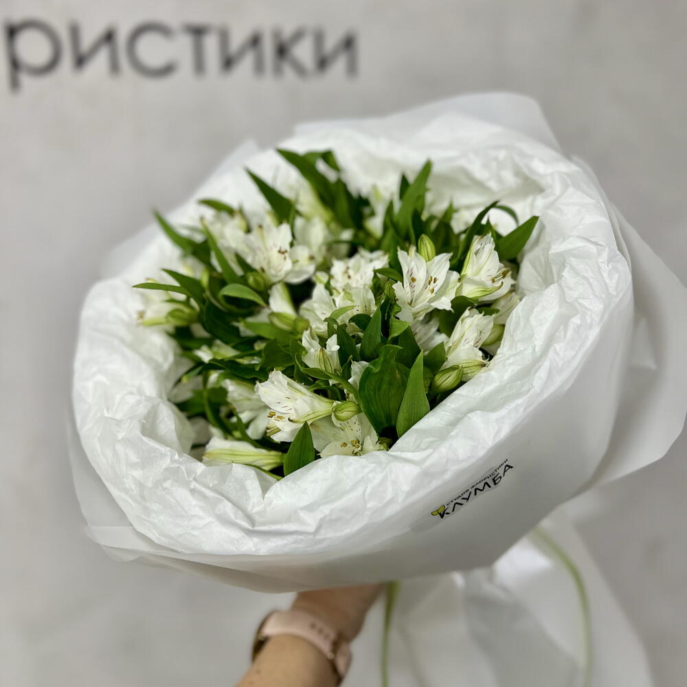 Белоснежное моно из альстромерии