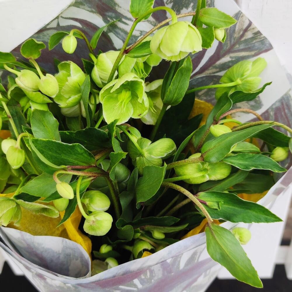 Bouquet " Magic of Nature"