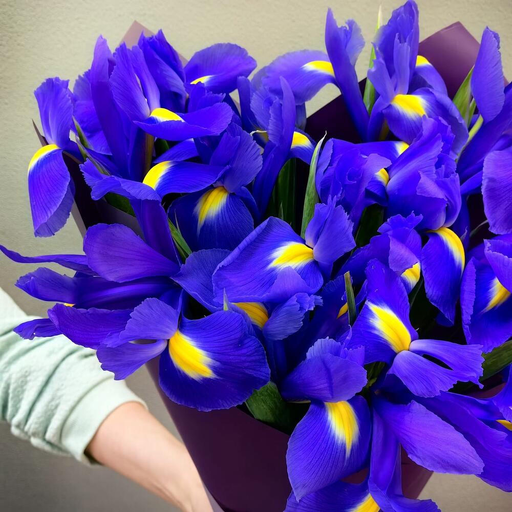 Букет из 15 ирисов (код 69)