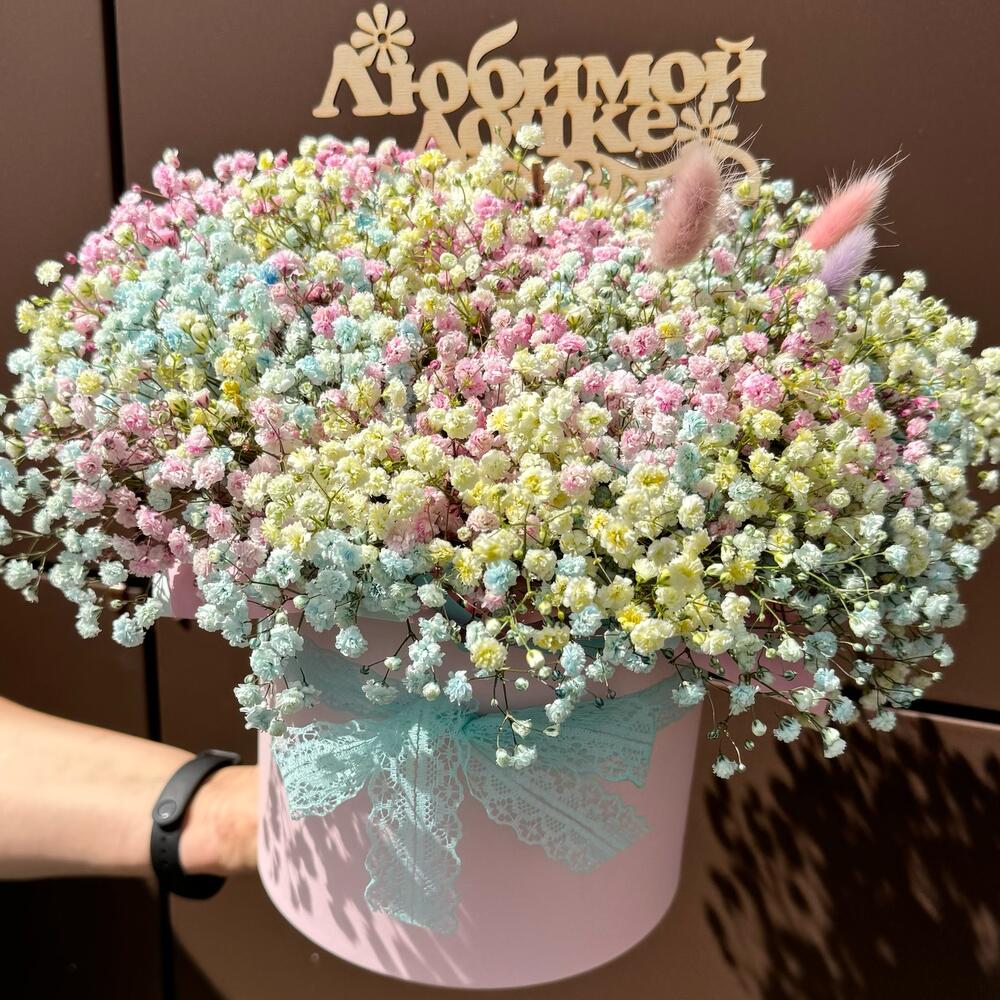 Гипсофила в коробке цветная