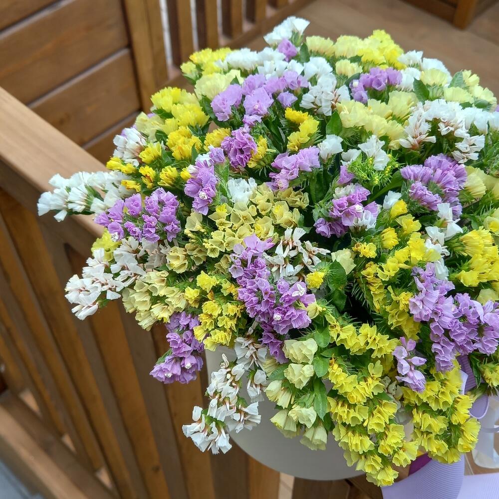 Композиция из статицы 🐣💛