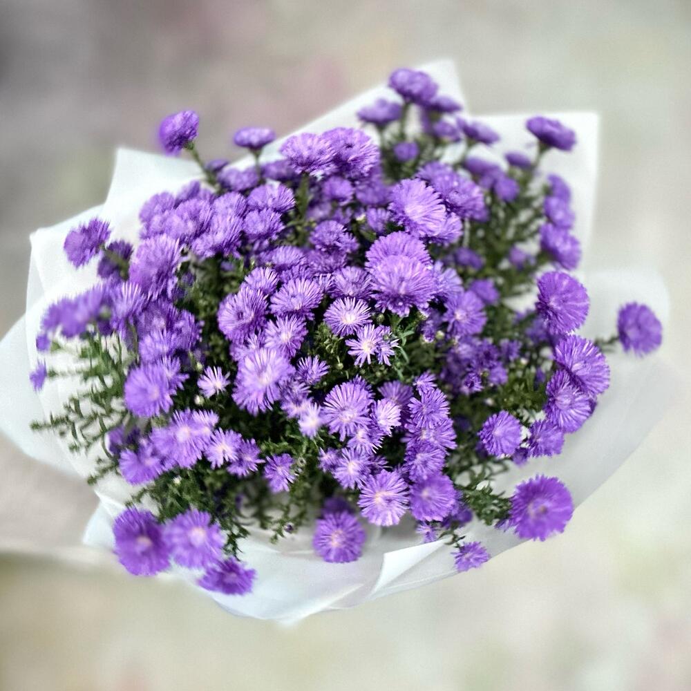Сентябринки ( астры ) красивый букет