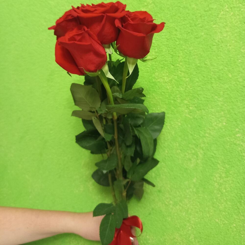 Поцелуй (может быть другой расцветки)