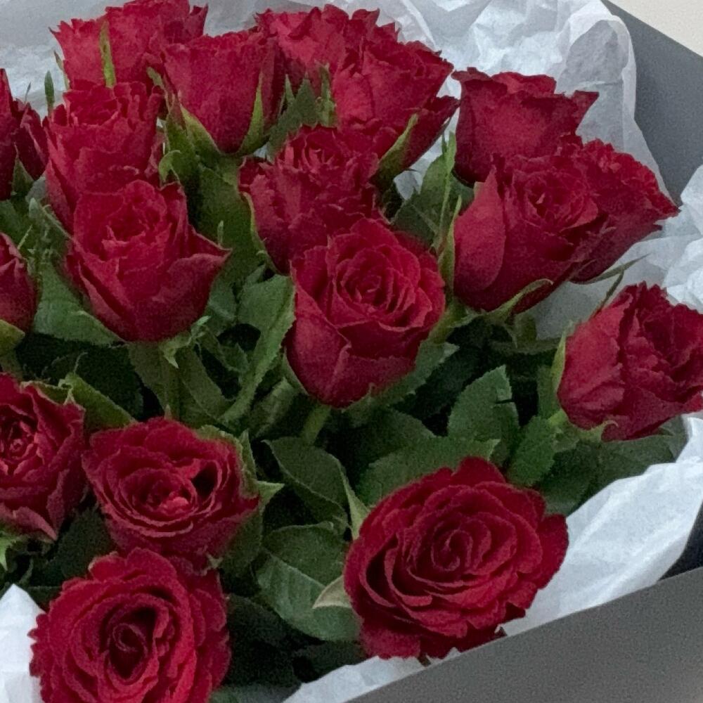 31 роза red