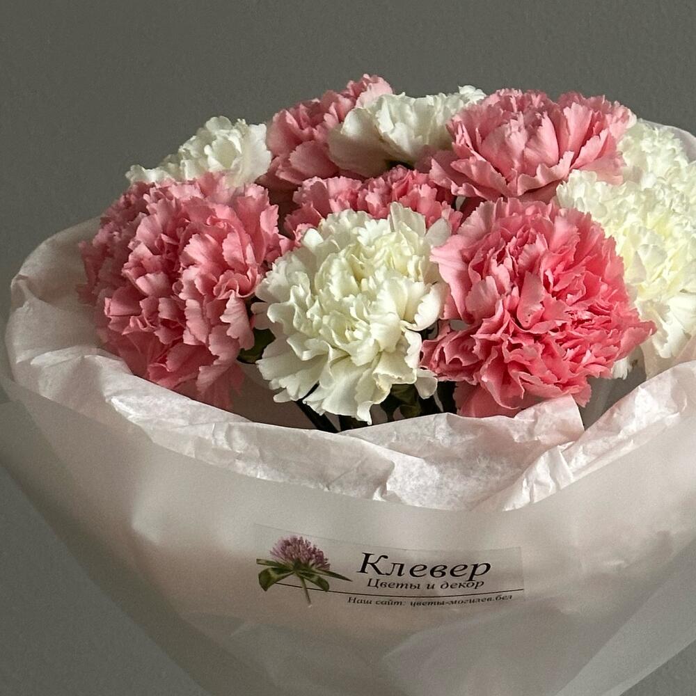 Моно букет из бело-розовых диантусов