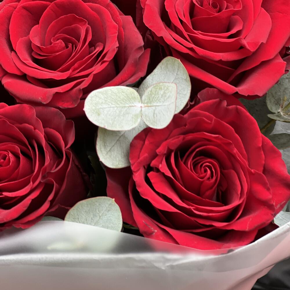 Bouquet of 7 red roses with eucalyptus