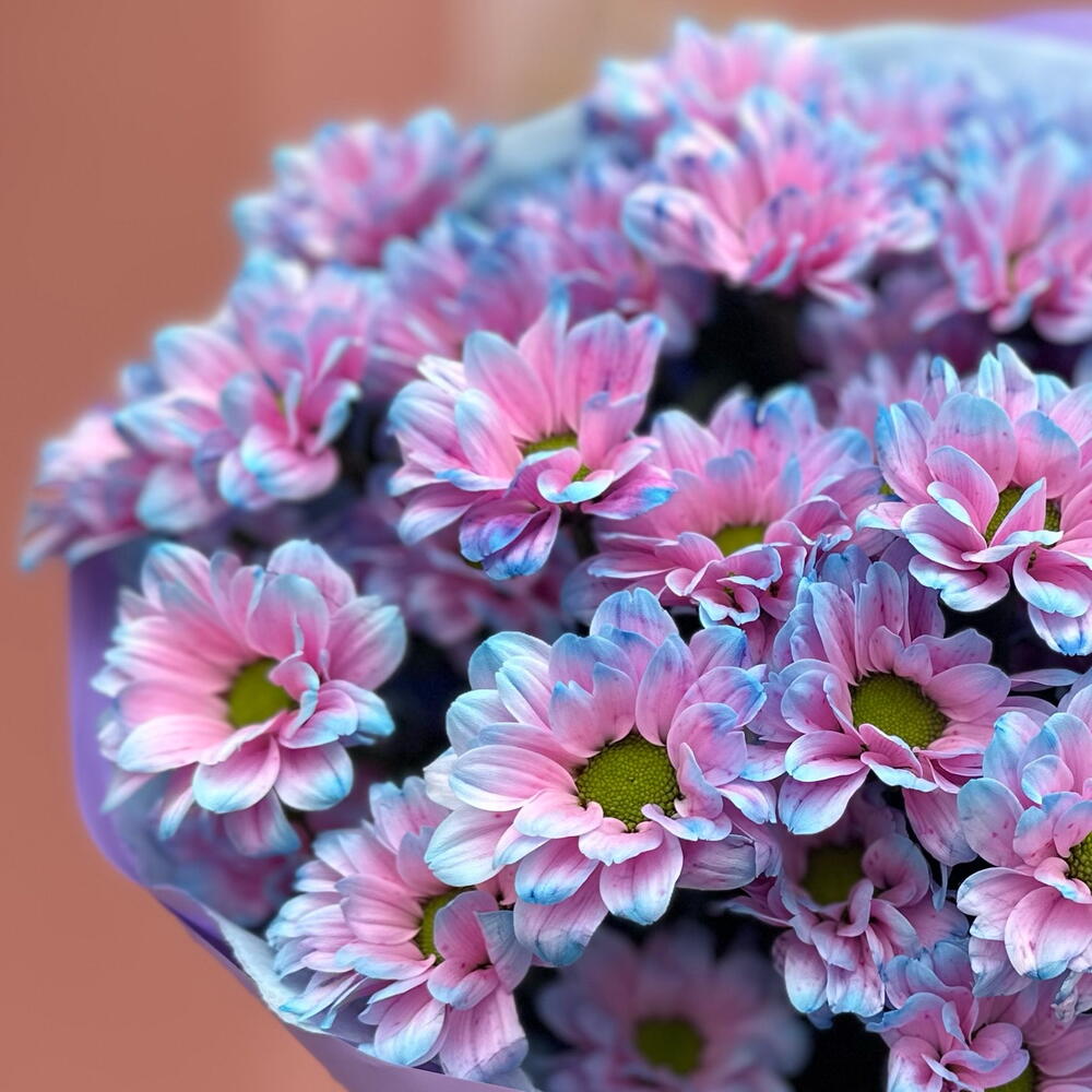 51 ромашка бабл гам