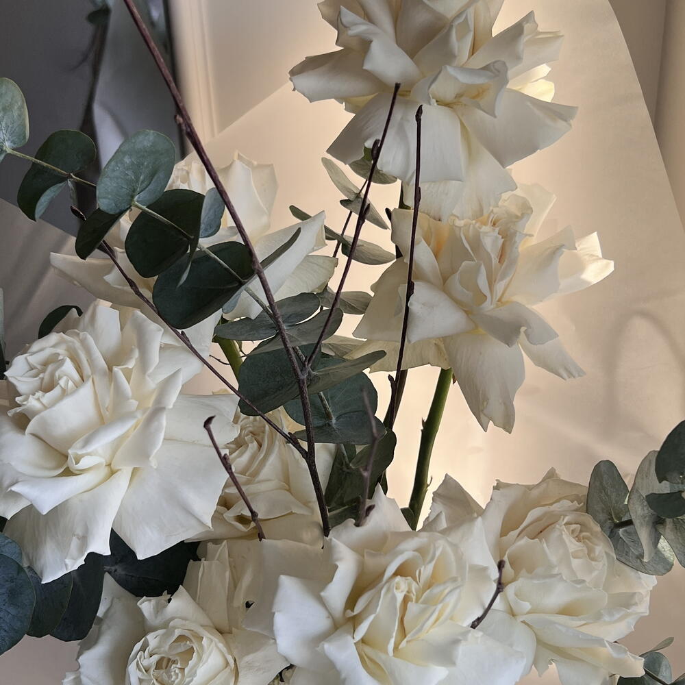 White Rose