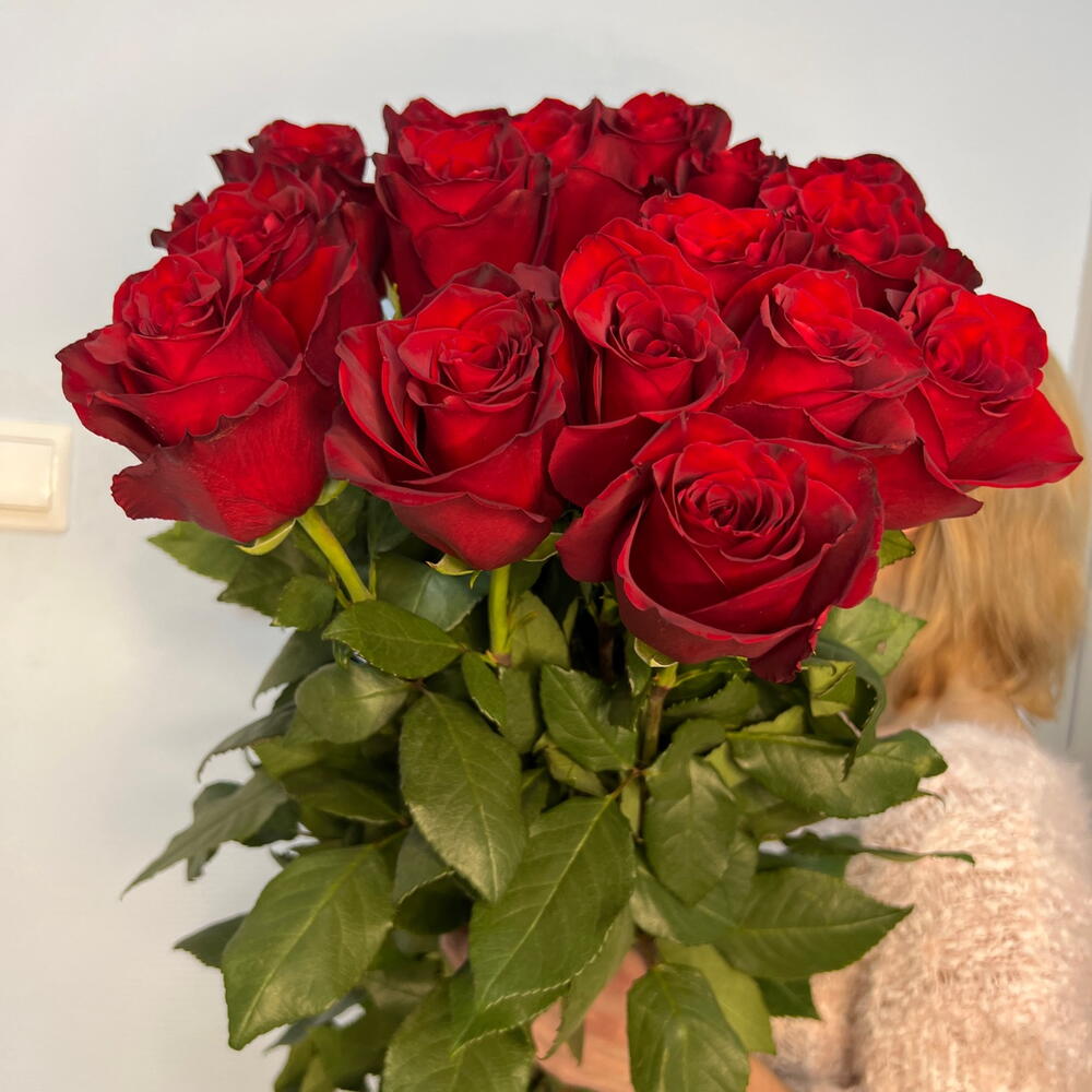 Моно букет из розы Экспловер 1м 17шт