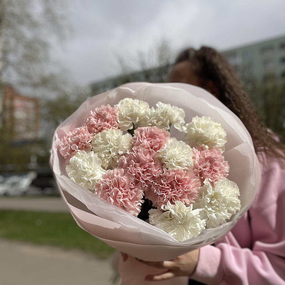 15 диантусов микс