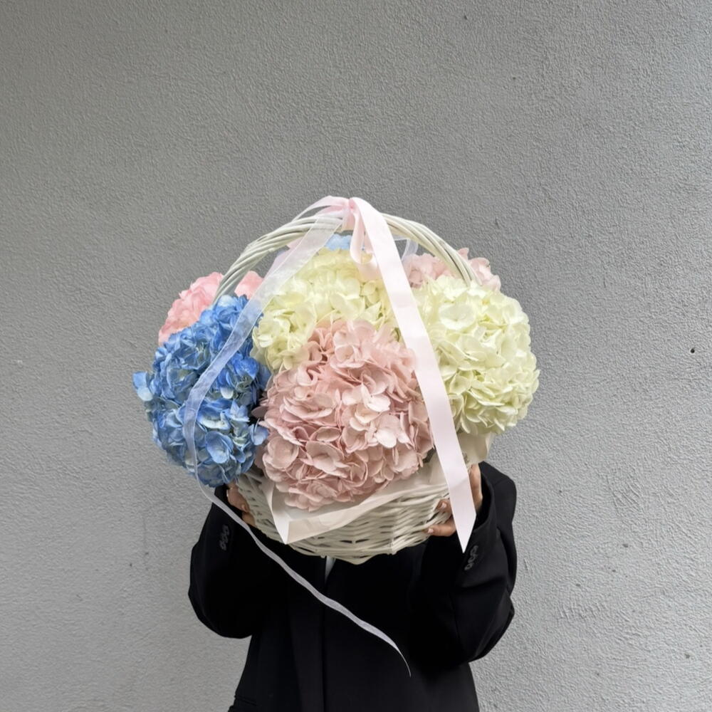 Basket with hydrangea M