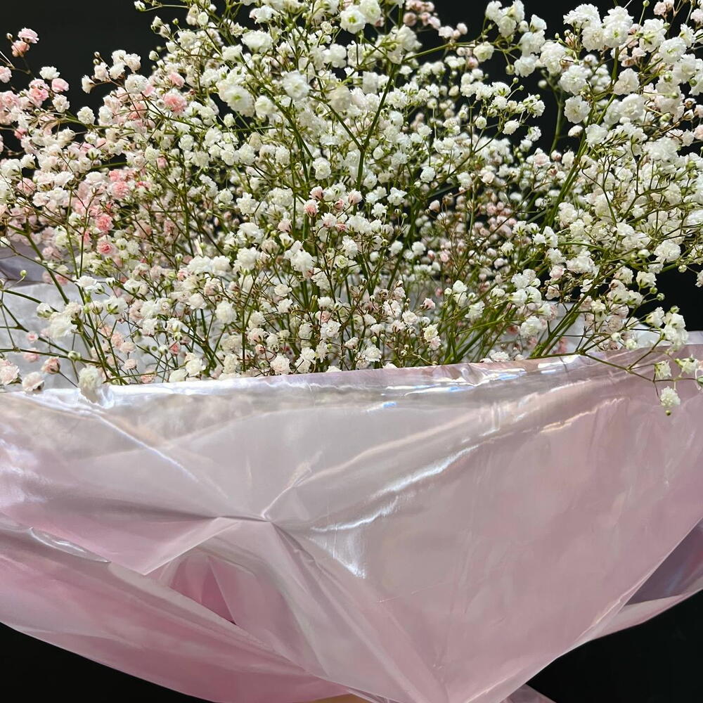 Нежный монобукет из гипсофилы