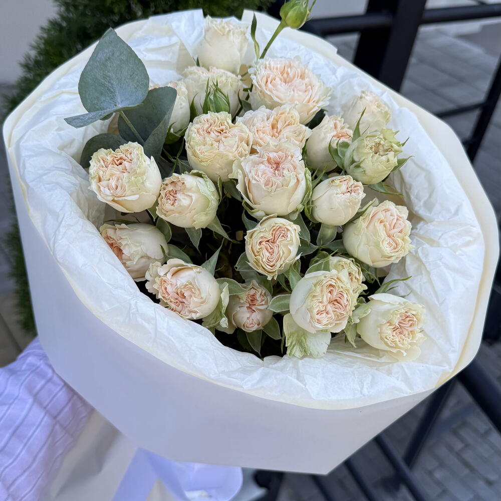 Кустовые розы Саммер Роуз