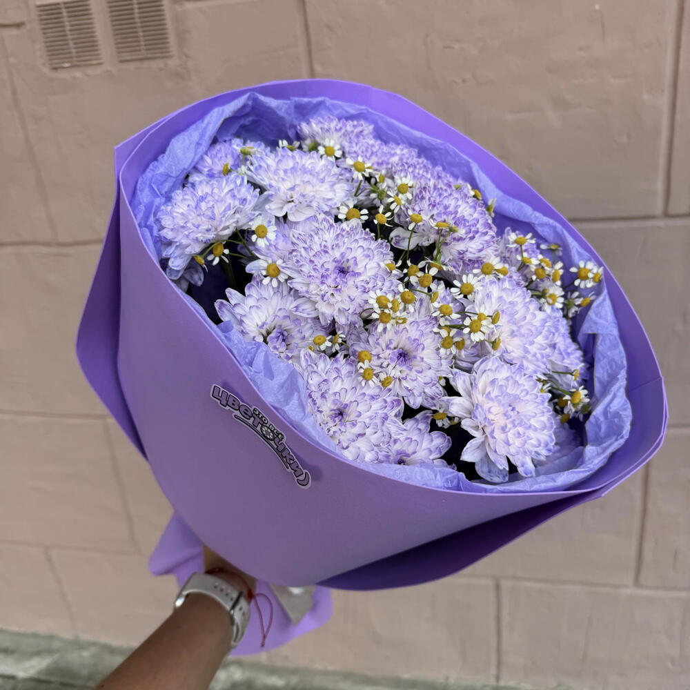 Северное сияние💜